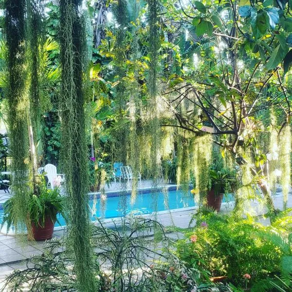 Orchid Cottage, hotel in Kingston