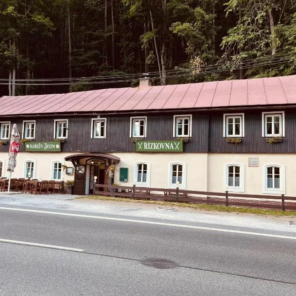 POD SVATOU ANNOU - penzion a řízkovna, Hotel in Horní Maršov