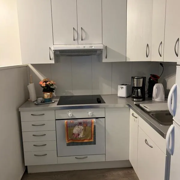 Studio、ロヴァニエミのホテル