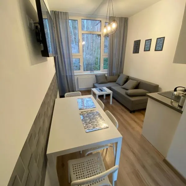 Apartamenty Ustroń Jaszowiec 92 abc, מלון באוסטרון