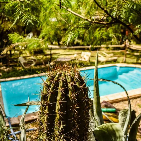 Cabañas de Montaña Rio Amarillo, hotel in Chilecito