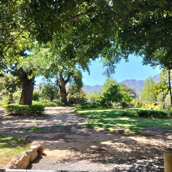 Olive and Vine Farm Cottage