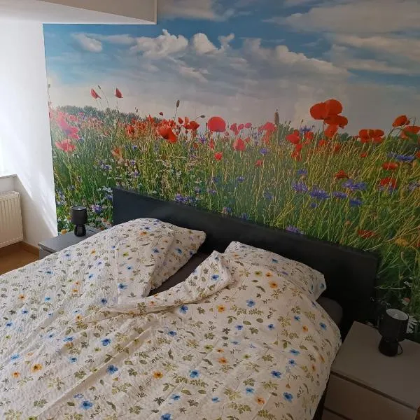 Lillie 3-4 Personen - Ferienwohnungen Wagner & Gaul Falkenauel, hotel v destinaci Falkenauel