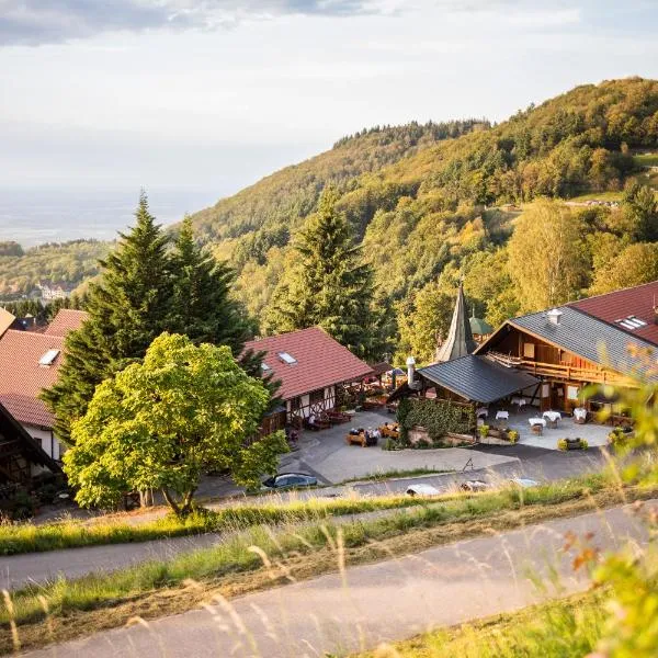 Hotel Spinnerhof, отель в Засбахвальдене
