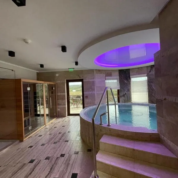 Pensiunea Palace, hotel in Baile Felix