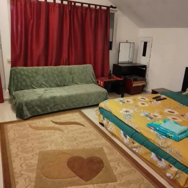 CASA MEA-Casa Mocanu, hotelli kohteessa Giurgiu
