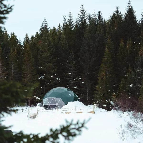 Golden Circle Domes - Glamping Experience, hotel en Selfoss