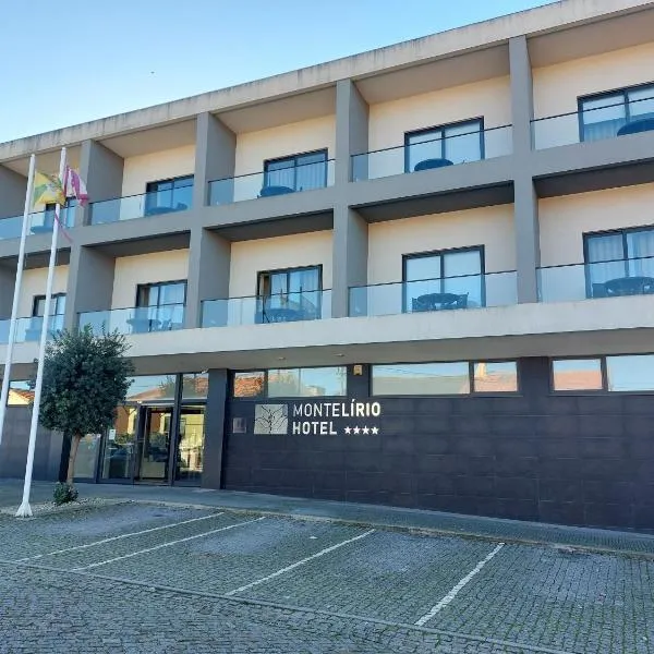 Hotel Monte Lírio, hotel in Espinho