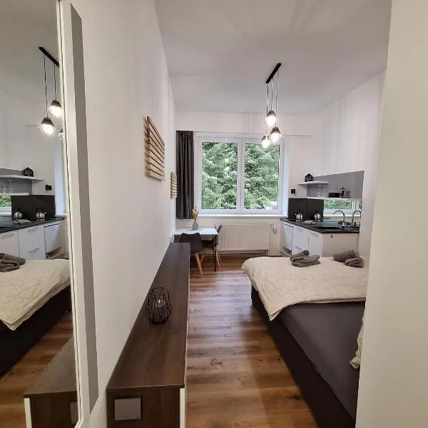 Apartmán Alenka HUDEČCI LOUKA, ξενοδοχείο σε Černé Údolí
