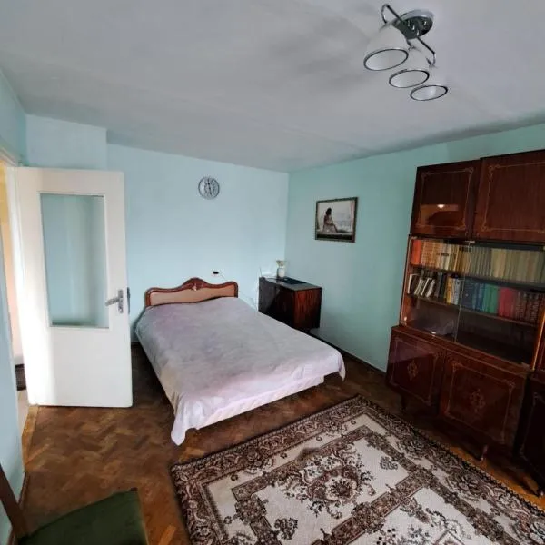 Квартира в центрі міста, hotel in Luts'k