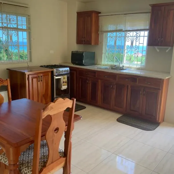 POINCIANA APARTMENT ONE 257 POINCIANA DRIVE GREEN WOOD MONTEGO BAY JAMAICA, hotel v destinaci Montego Bay