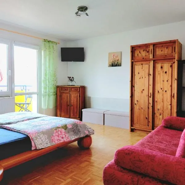 Helles Apartment mit Balkon am Großen Garten nahe Stadtzentrum, Hotel in Dresden