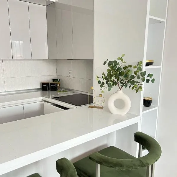 Apartman 306，卢卡维卡的飯店