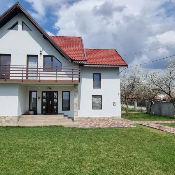 Pensiunea Casa Mădă, hotel v destinaci Baia de Fier