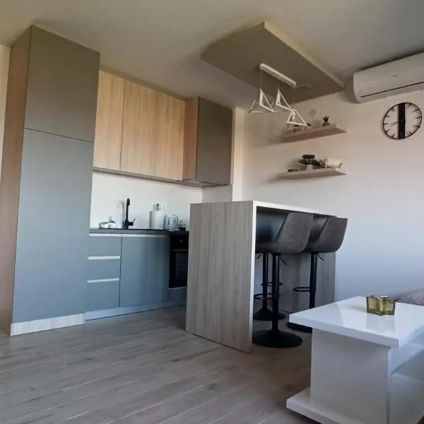 Jela Apartman, hotell sihtkohas Soko Banja