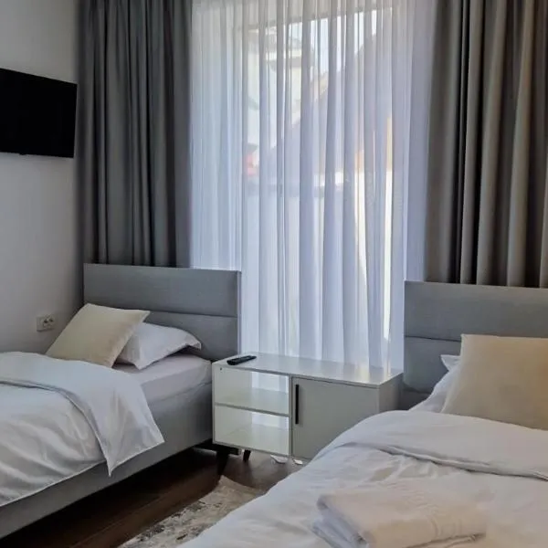 MODERN House, hotel in Sighetu Marmaţiei