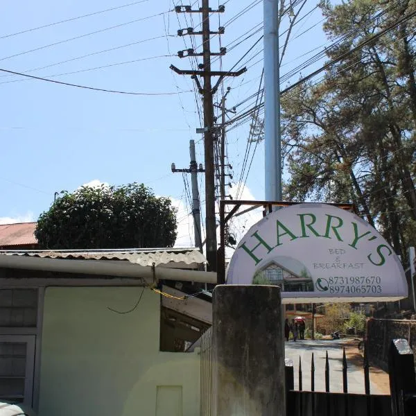 Harry's Bed and Breakfast1, hotel in Shillong
