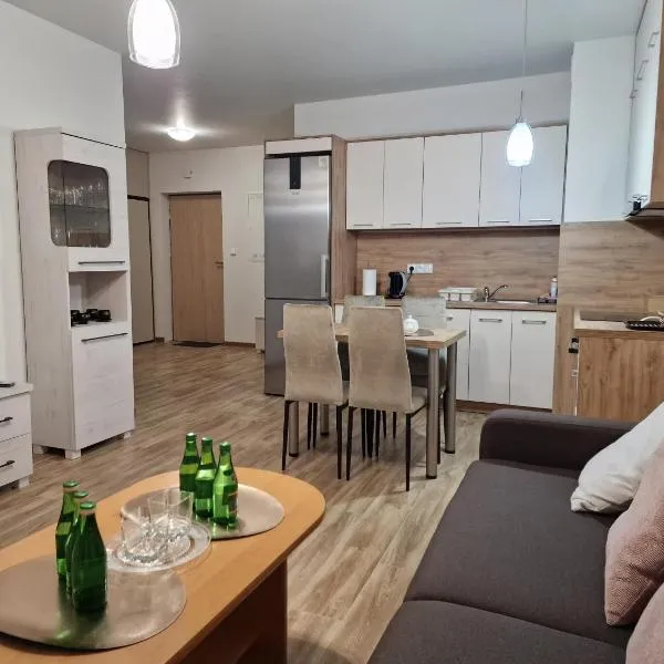 Apartament Elżbieta, hotell sihtkohas Busko-Zdrój