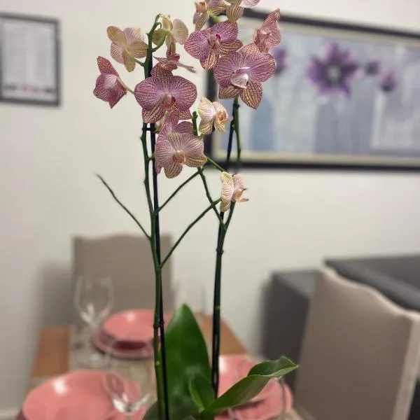 Arteg Apartments - Premium, hotel em Durrës