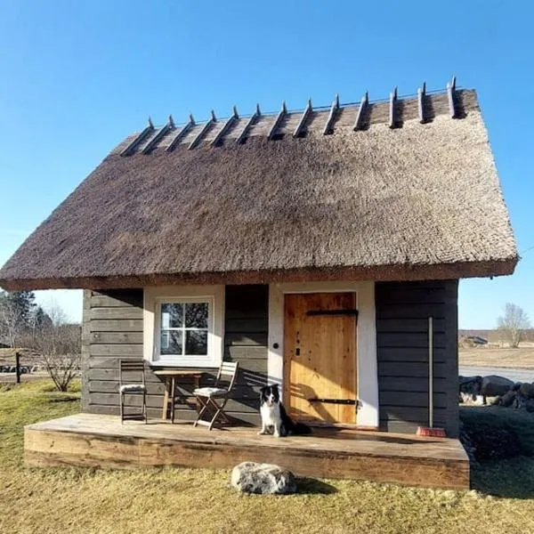 Leeotsa Talu Ait, hotel in Kasispea