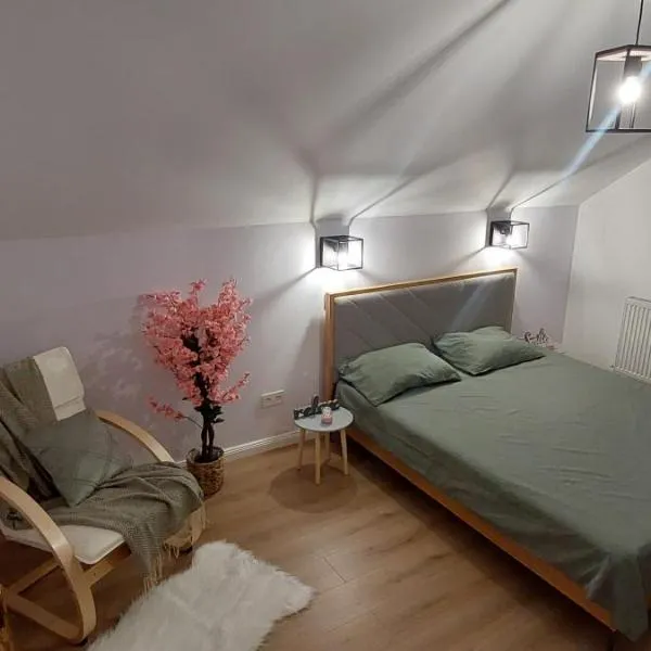 Matei Rent Apt, hotel in Baia Mare