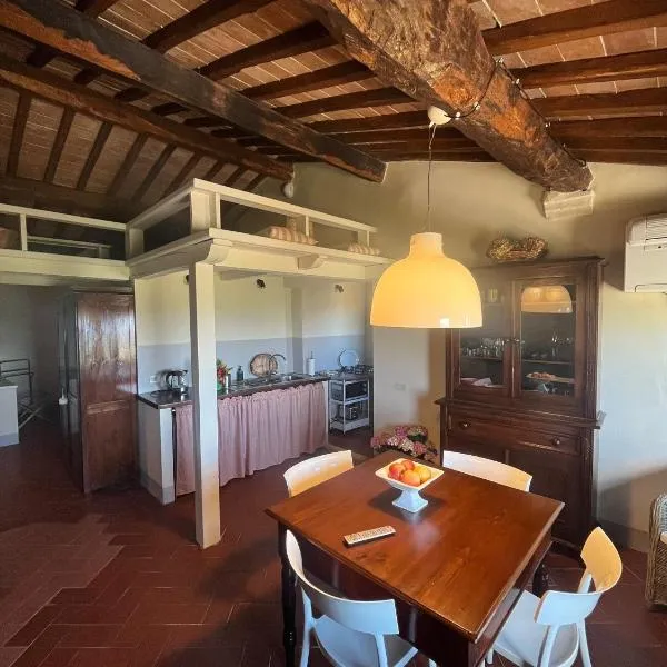 Appartamento centro storico La Pulcianella con vista mozzafiato, hotel v destinaci Montepulciano