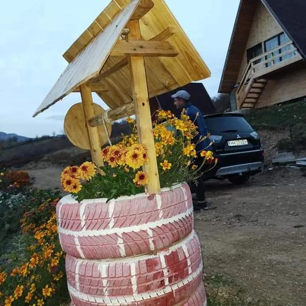 Căsuțele din Zăbran, hotel in Gornenţi