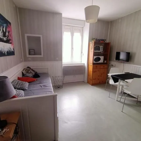 Studio idéalement situé à Ax les thermes, ξενοδοχείο στο Ax-les-Thermes