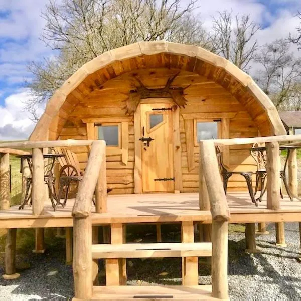 The Prancing Moose、Ystrad Meurigのホテル