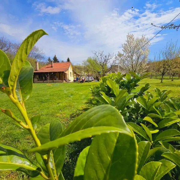 Fruška house, hotel in Bešenovački Prnjavor