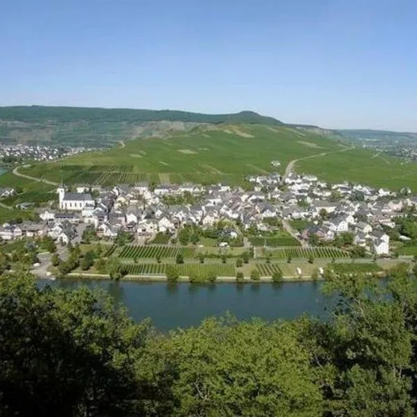 Fewo-Minheim Waltraud und Franz Bayer, hôtel à Minheim