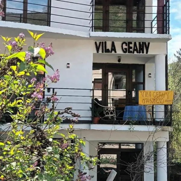 Vila Geany, hotel in Băile Herculane