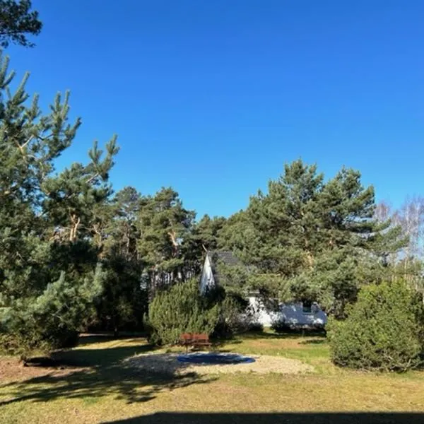 Ferienpark Buntspecht Apartment A, hotell sihtkohas Pruchten