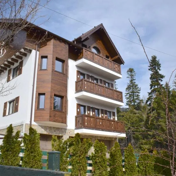 Cosy&Minimalistic Apartments - Haret Building, hotell Sinaias