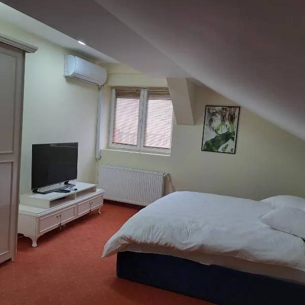 Casa Livia PP Aparthotel, ξενοδοχείο σε Oradea