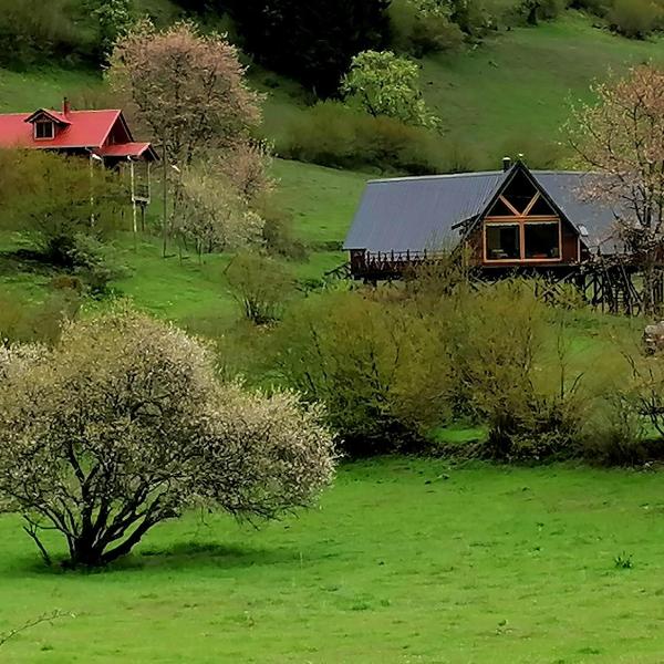 Süllü Dağ Evi