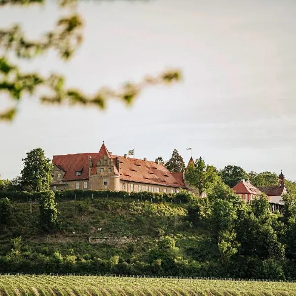 Schloss Frankenberg, hotel in Weigenheim