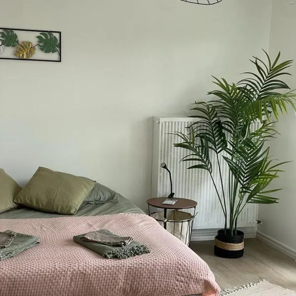 Studio T à 5mn euro airport avec terrasse, hôtel à Saint-Louis