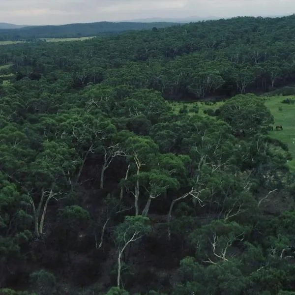 Saddle Camp Tiny House by Tiny Away, hotell sihtkohas Braidwood