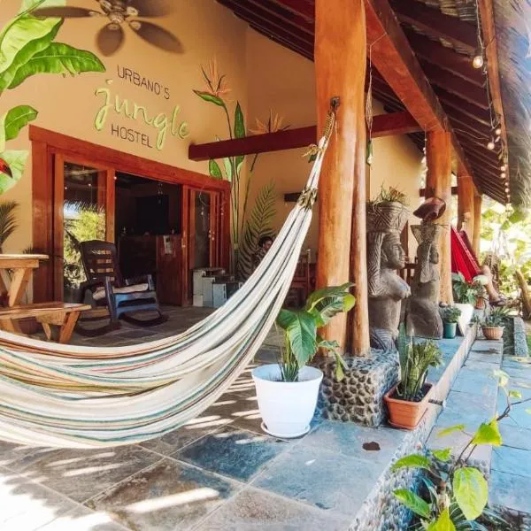 Jungle Hostel，位于圣卡塔利娜岛的酒店