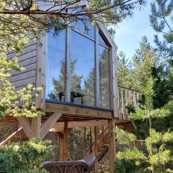 Üügumetsa treehouse, hotel v mestu Kallaste