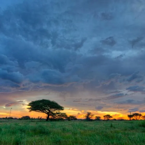 Khoi-Khoi Guesthouse, hotel in Otavi