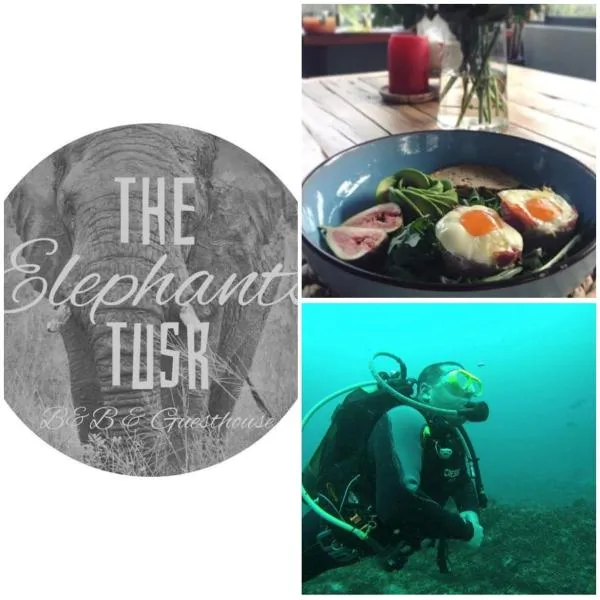 The Elephants Tusk B&B, ξενοδοχείο σε Umkomaas