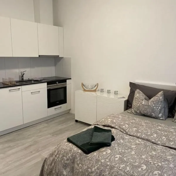 Studio in neuem EFH (2023)、Elsauのホテル