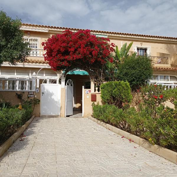 Estrella de Mar
