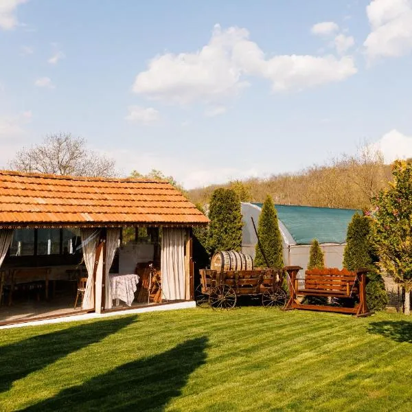 Pensiunea Doina și Ion, hotel in Mileştii Mici