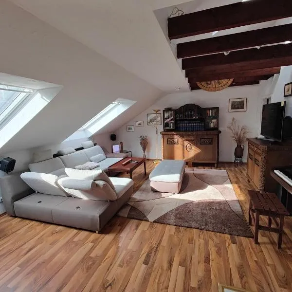 Ferienwohnung Biene, hotel in Saarbrücken