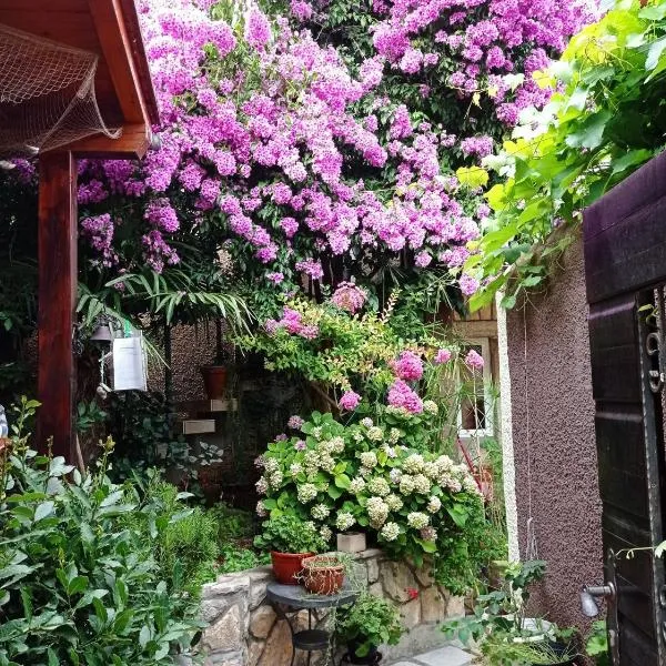 Apartman i Sobe Čule Cres, hotel en Cres