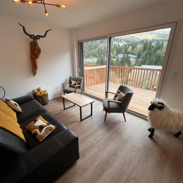 APPARTEMENT AUX PIEDS DES PISTES DE SKI, hotel en Laveissière