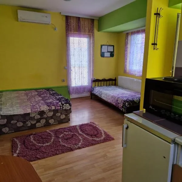 Apartments Hadži, Hotel in Sokobanja